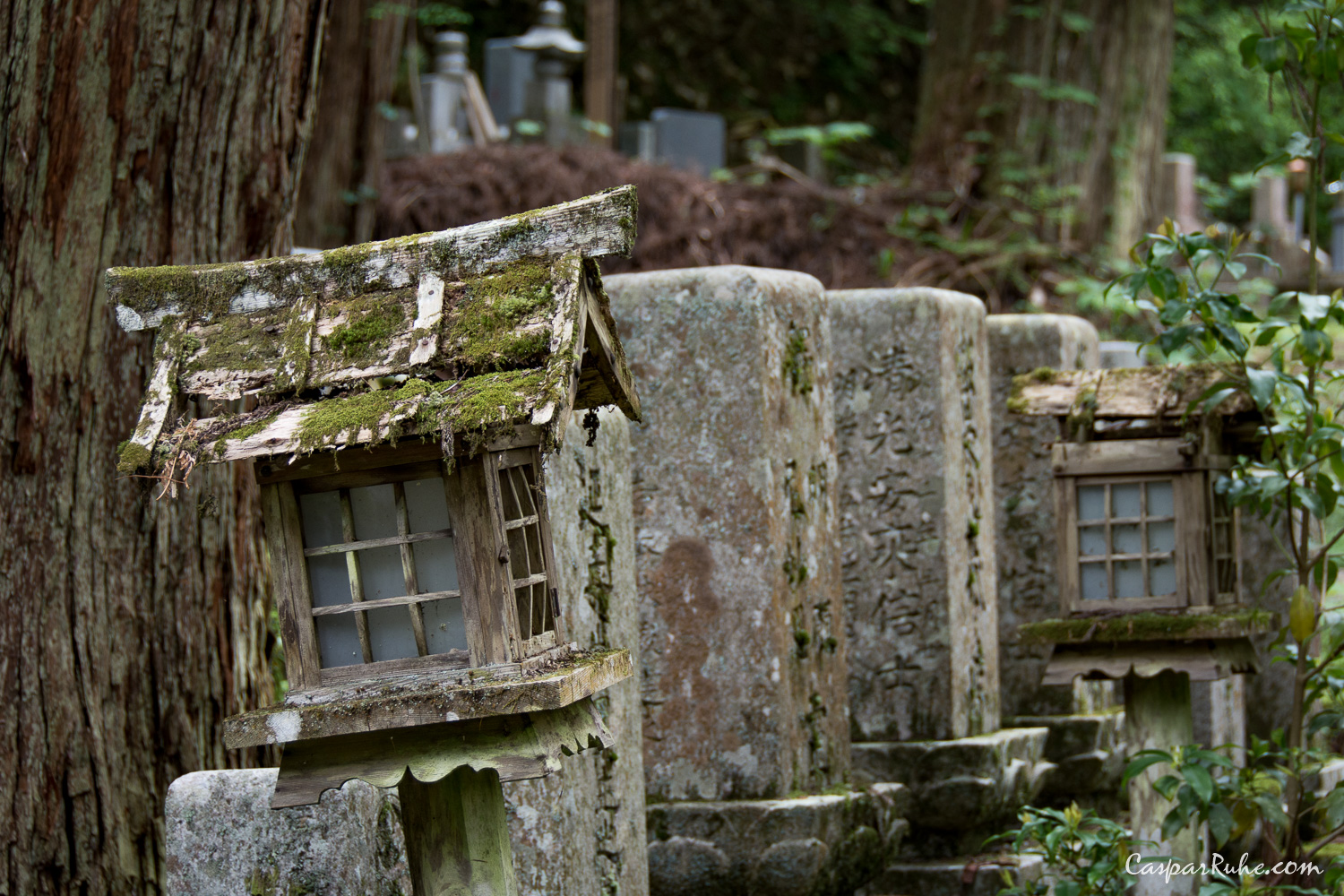 Okunoin's Cemetery